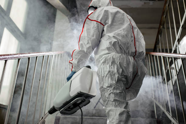 Mold Remediation for Rental Properties in Miles, TX